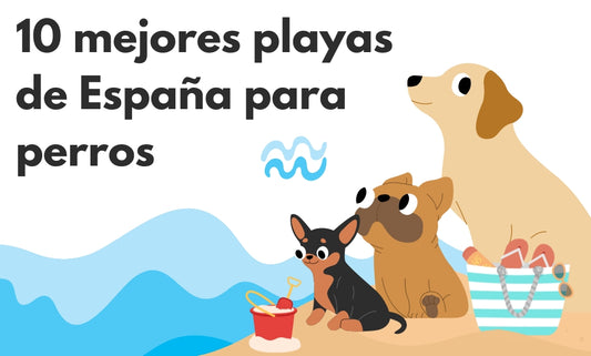 Las 10 mejores playas de España para ir con tu perro